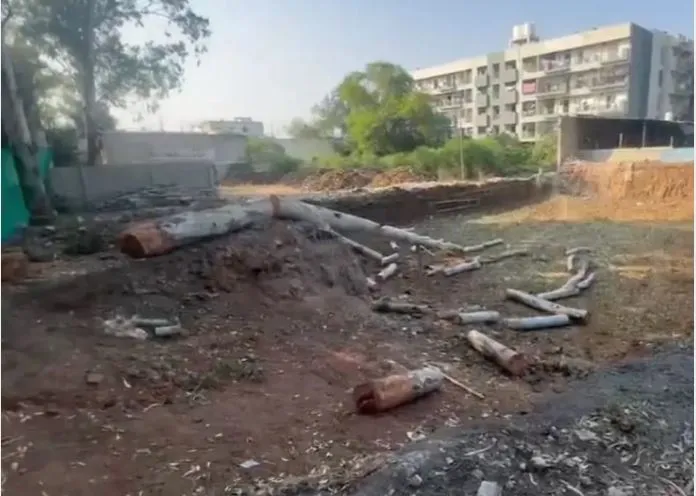 Bilaspur: Builder faces probe over illegal tree felling