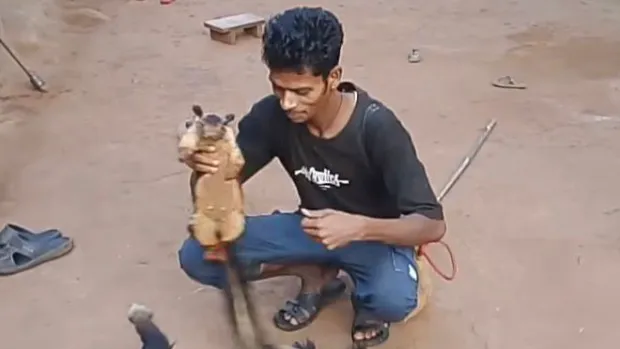 शिकारी गिरफ्तार