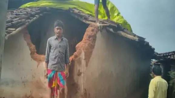 हाथी