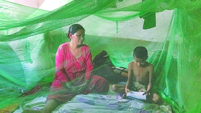 Nepal Malaria