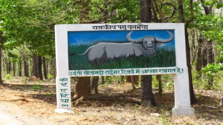 उदंती-सितानदी