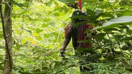 प्रेमी जोड़े