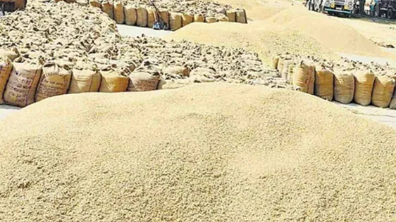 धान नीलामी 