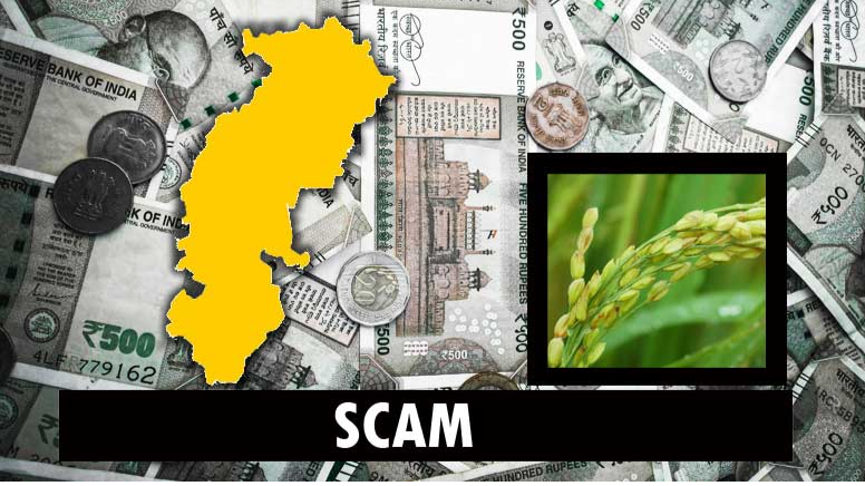 धान खपाने पटवारियों ने रिहायशी इलाके में उगा दी फसल