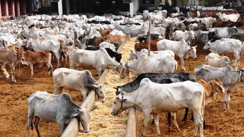 गौधाम योजना