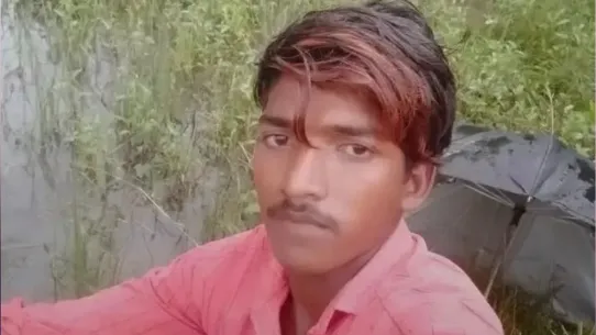 बाघ