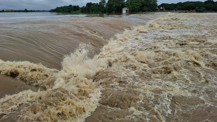 औसत वर्षा