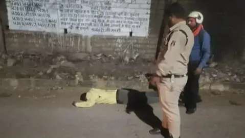 शव