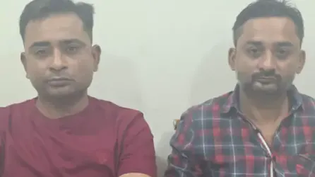हिरण सींग 