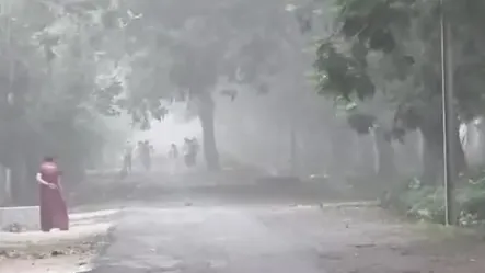 फ्लाई ऐश-कोरबा