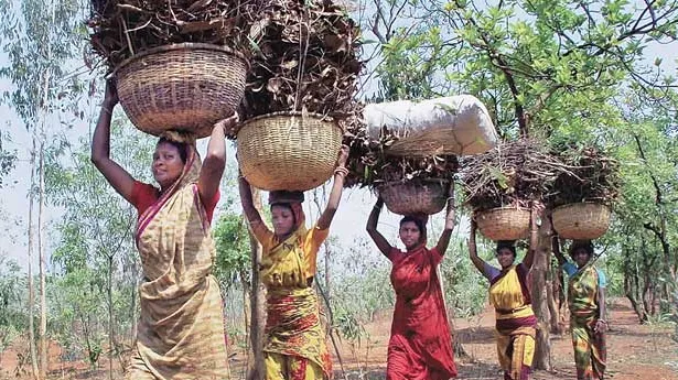 आदिवासी