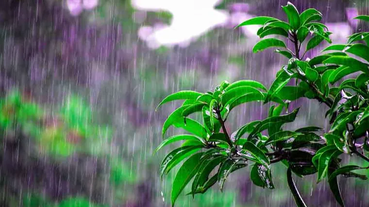 Monsoon