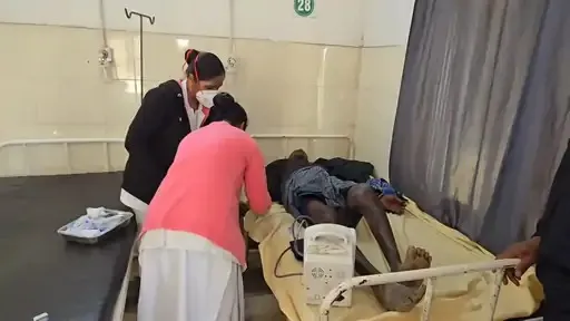 हाथी का हमला