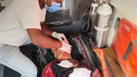 भालू का हमला