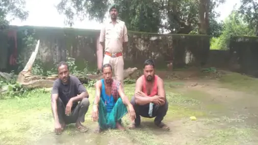 हाथी