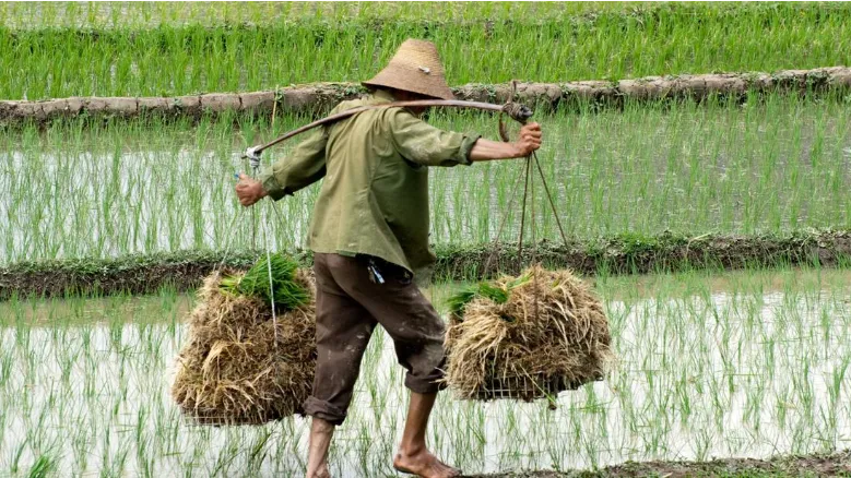 El Niño and global tensions strain China’s economy