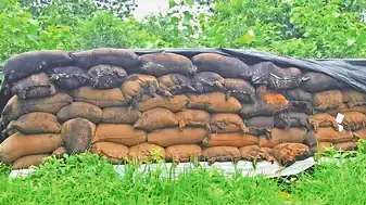 Rats, Rot and Rice