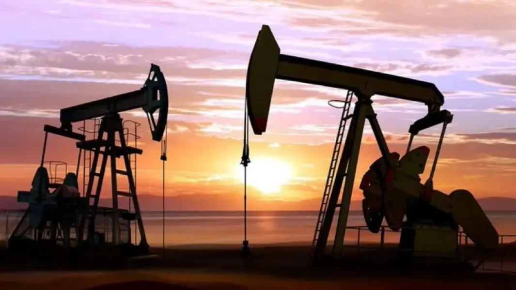 Oil