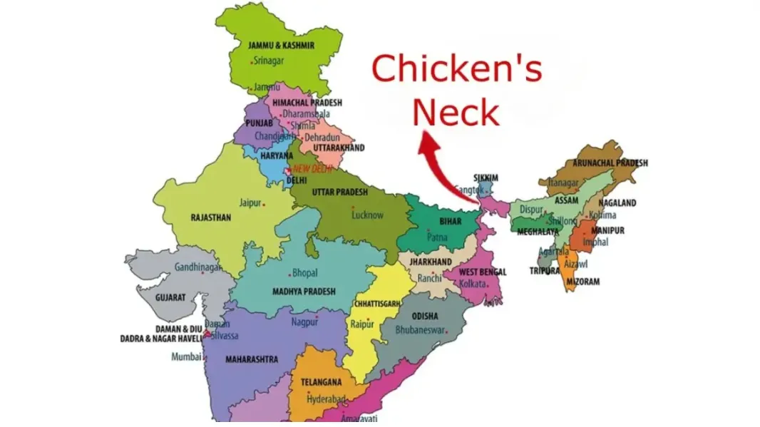 चिकन नेक