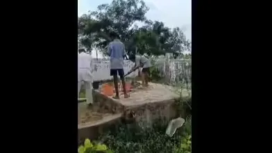 स्कूल में मजदूरी