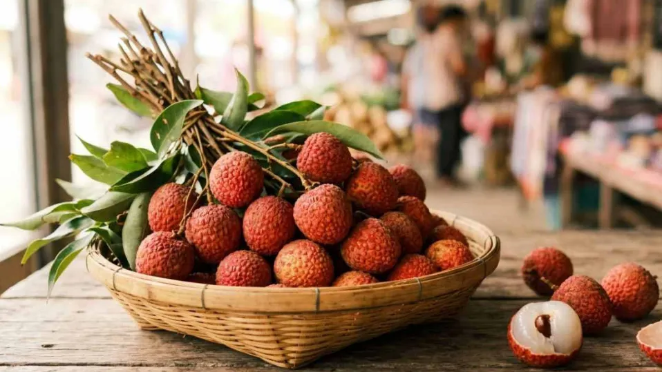 Jashpur litchi tastes sour due to extreme heat this season 