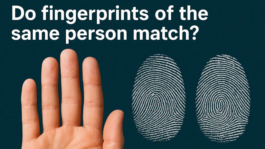 Fingerprint