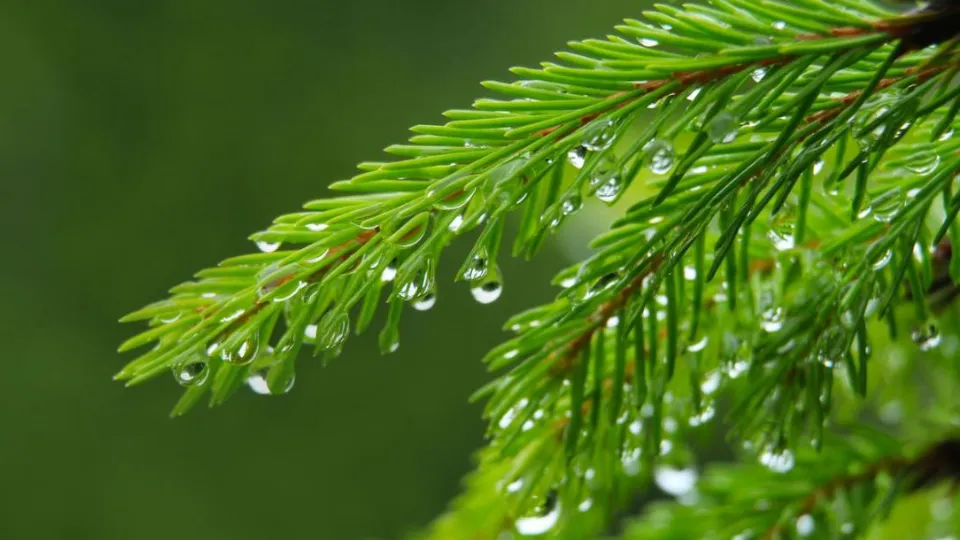 Pre-Monsoon Chhattisgarh