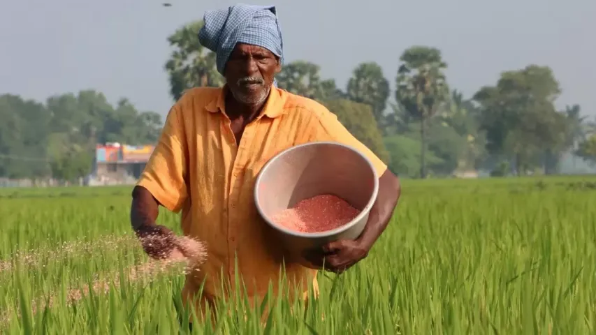 खेती 