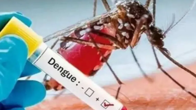 डेंगू