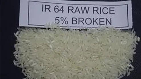IR64 Rice