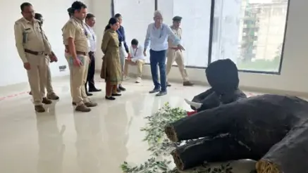 Training held for vets and forest staff