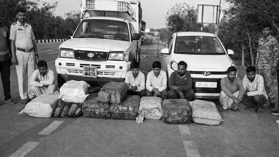 गांजा तस्कर गिरफ्तार- महासमुंद