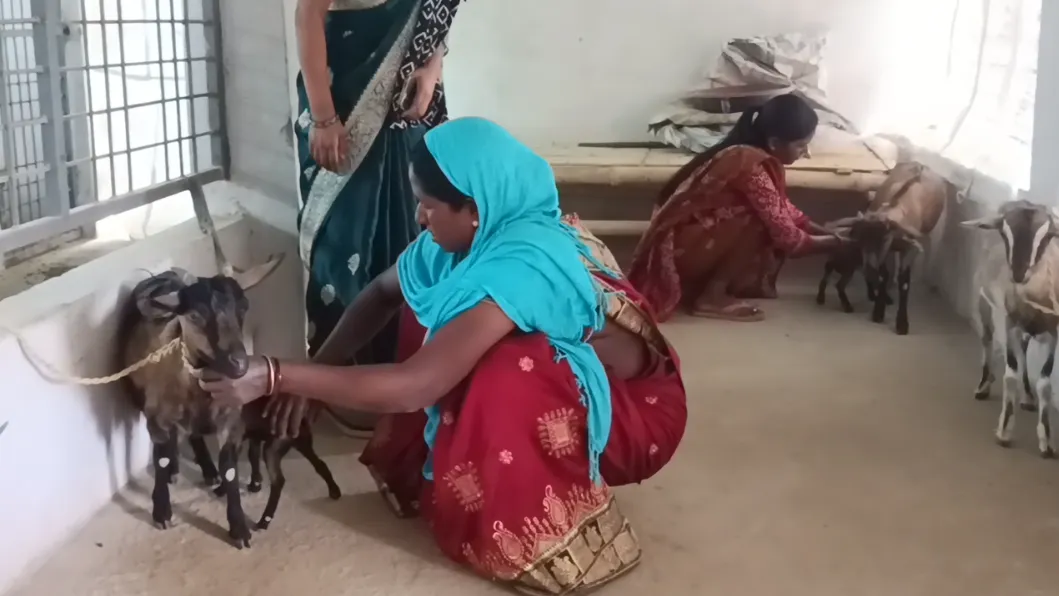 छेरी बैंक-सरगुजा