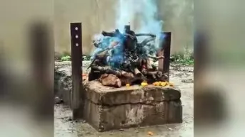 कुत्ते का अँतिम संस्कार