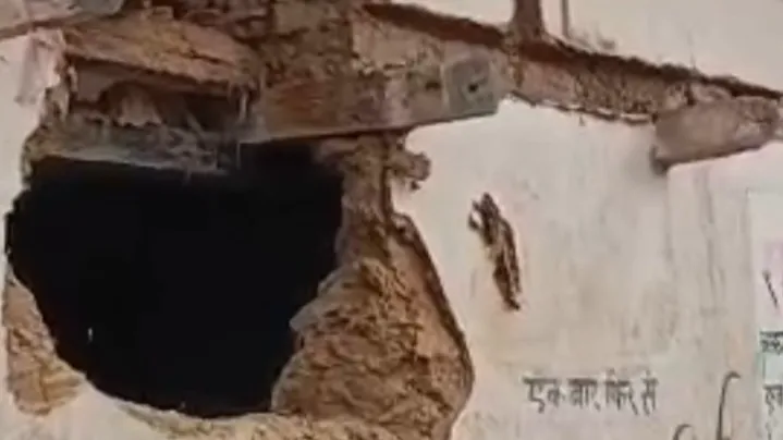 हाथी ने घरों को तोड़ा