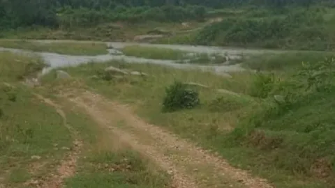 कोकिया नदी