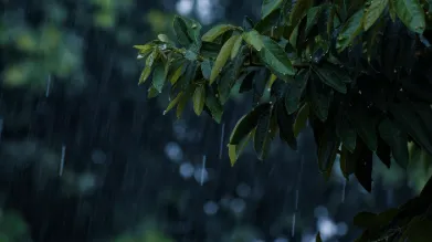 छत्तीसगढ़ में बारिश