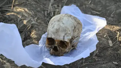 मानव कंकाल