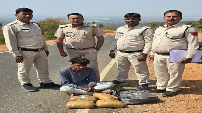 गांजा तस्कर