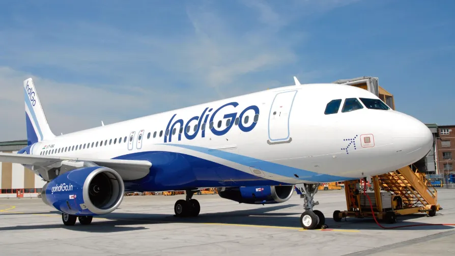 Indigo