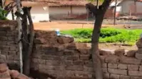 हाथी का तांडव