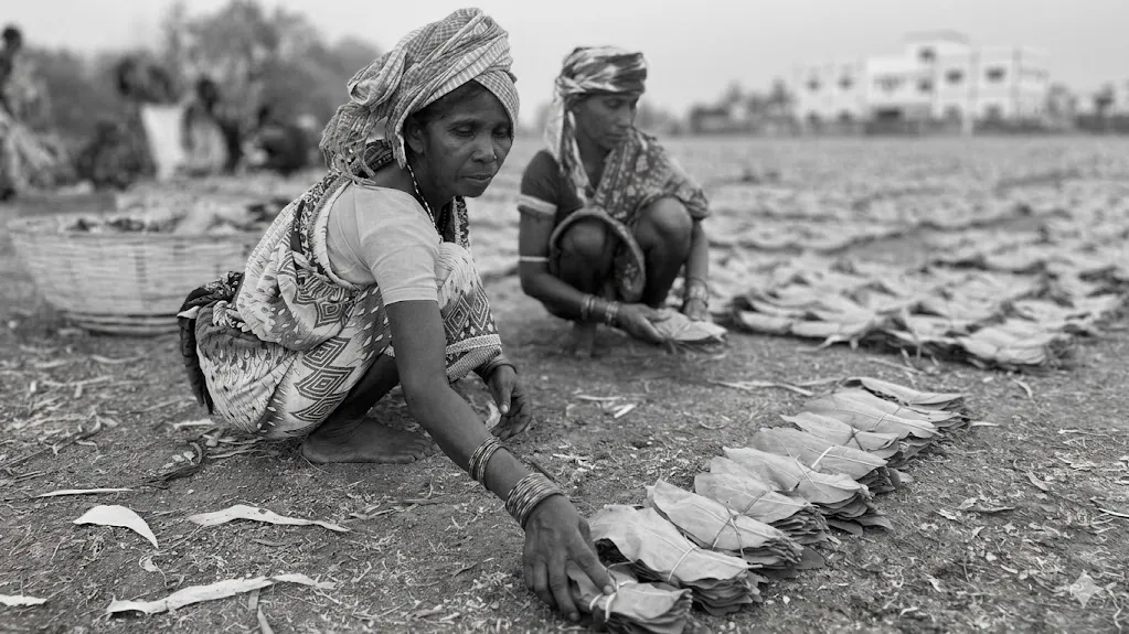 Chhattisgarh hikes Tendu leaf rate to Rs 5,500 per bag