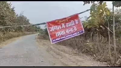 जशपुर हाथी