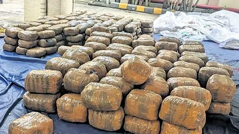 गांजा जब्त गिरफ्तार