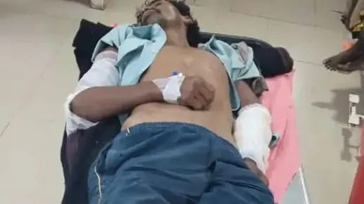 हाथी