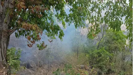 Marwahi forests on fire