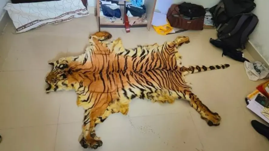बाघ का खाल