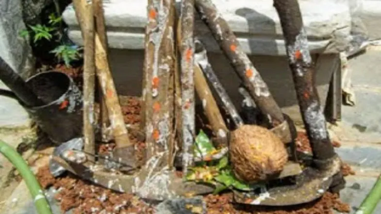 हरेली
