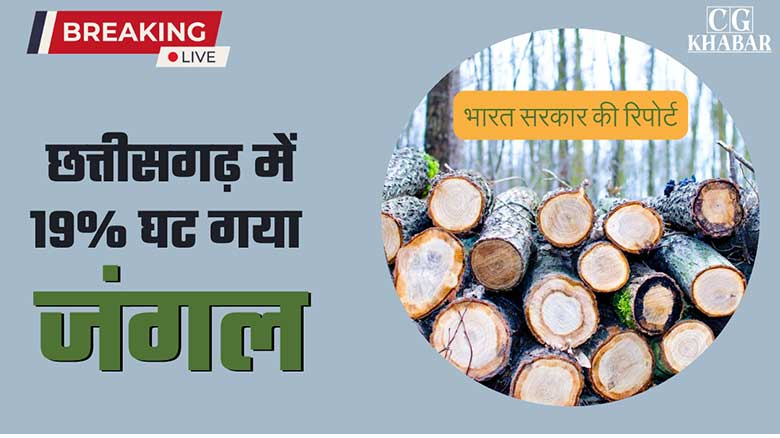 Chhattisgarh's forest loss challenges National cover claims