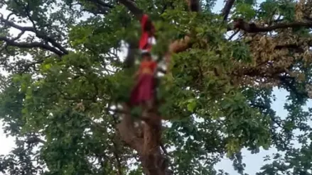 शव